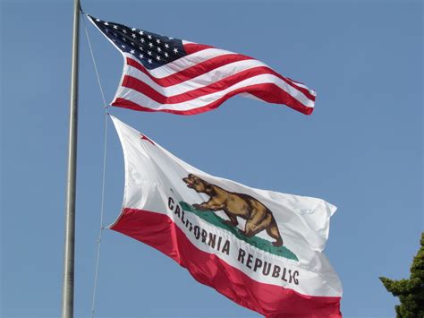 california flag – california bear flag – BREQ