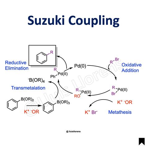 Suzuki Coupling Reaction Examples at Ilene Ribeiro blog