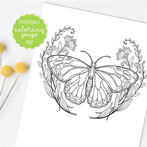 Monarch Butterfly Coloring Page