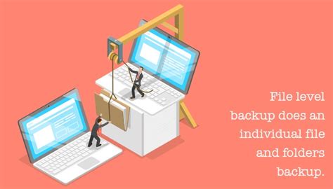 Image result for File-Level Backup
