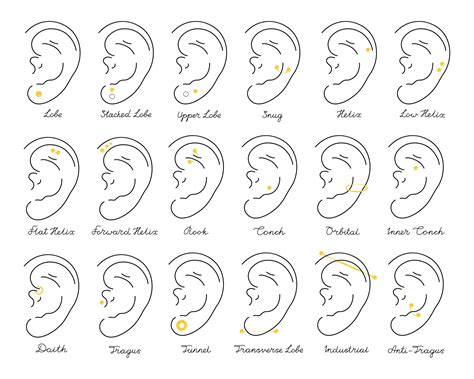 A Comprehensive Guide To Ear Piercing Names – FDOMF