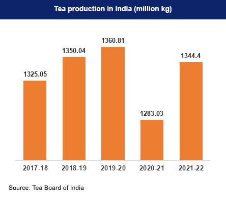 Nilgiri Tea - Detail History, Specialization and types – OotyMade.com