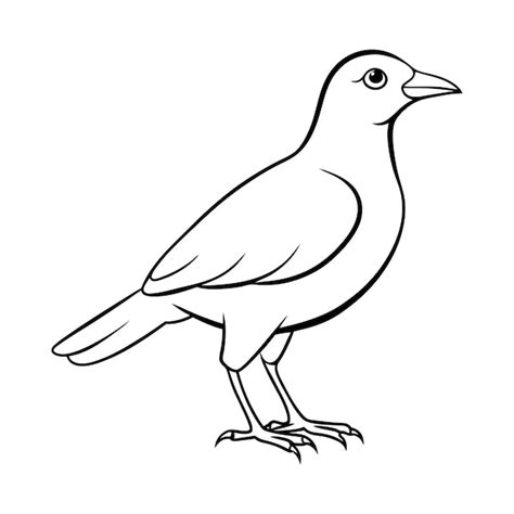 Immagini di Merlo disegno - Download gratuiti su Freepik