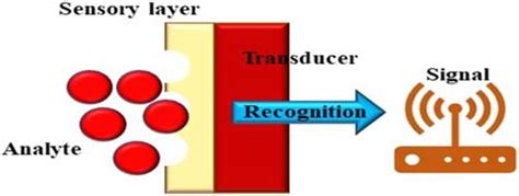 Image result for How Does a Biosensor Work
