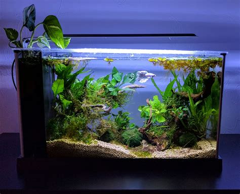 Fluval Spec V - 5 Gallon Planted Betta Tank