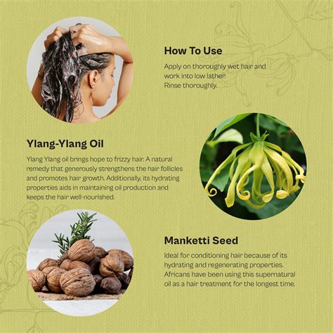 Buy Ylang Ylang Oil Anti Frizz Shampoo - Control Hair Fall and Improve ...
