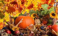 Thanksgiving Wallpaper For Android Phone by Thanksgiving Day Wallpapers Android Apps On Play Thanksgiving Wallpaper For Android Phone