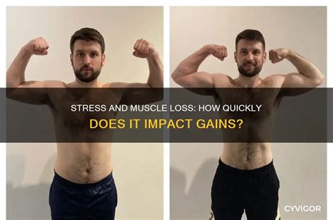Image result for Muscle Stress Graph