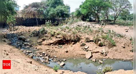 Urban: Urban Forest Planned At Marol Industrial Hub To Bring Down Temp ...