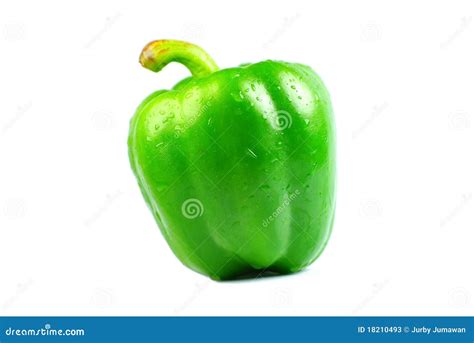 Green Bell Pepper stock image. Image of green, moisture - 18210493