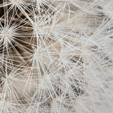 French textile artist Isabelle Moulin promotes Indian silk on ...