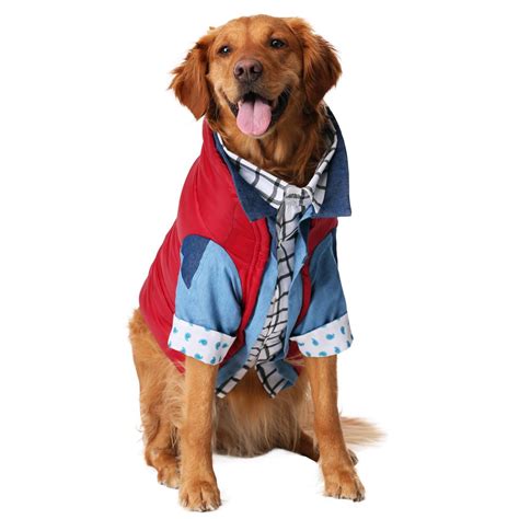 20 Cute Halloween Costumes for Extra Large Dogs (up to 3XL!) - Hey ...