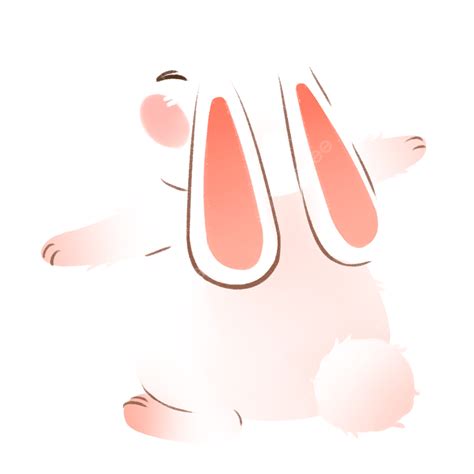 Standing Rabbit PNG Image, Rabbit Standing Up, Rabbit, Bunny, Little ...