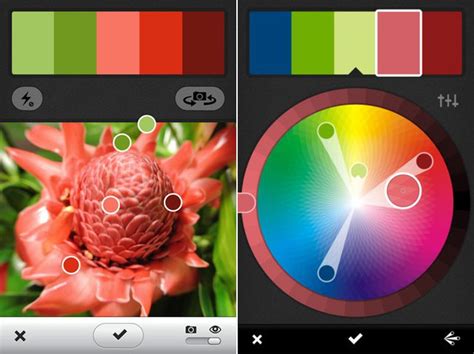 Image result for Colorize App
