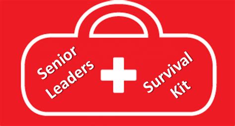 Leadership Survival Kit 的图像结果
