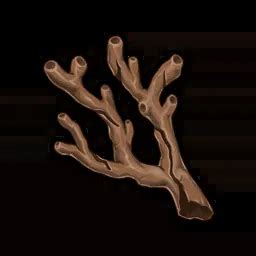 Hakushin Ring - Hakush.in