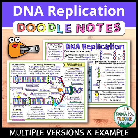 DNA Replication 的图像结果