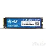 Buy EVM 256GB M.2 NVMe SSD – Reliable Storage Upgrade Fast Delivery