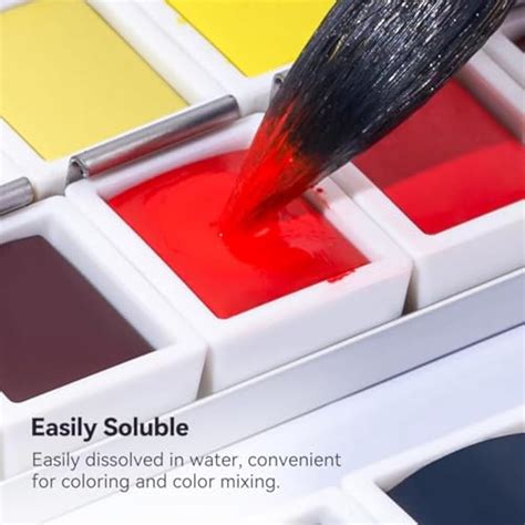 LIGHTWISH Watercolor Paint Set, 48 Colors India | Ubuy