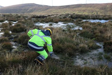 Once a dirty fuel, Shetland nurtures peat's climate superpower | Context