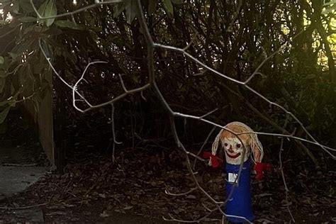 KABOUTERBOS (2025) All You Need to Know BEFORE You Go (with Photos ...