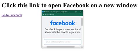 JS Single Window View 的图像结果