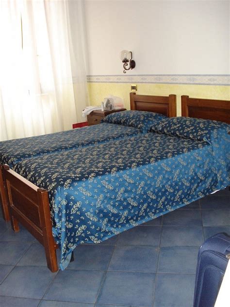 HOTEL LUZZATTI (Rome) - Hotel Reviews, Photos, Rate Comparison ...