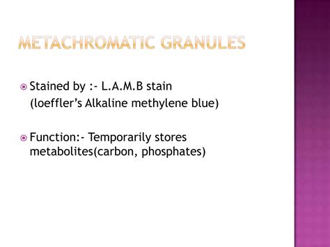 Image result for Acid-Fast Staining Method