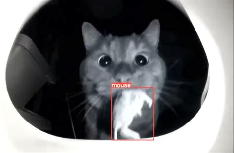 AI Technology Gadgets 的图像结果