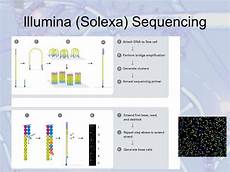 illumina solexa ngs new generation sequencing 2 네이버 블로그 illumina solexa ngs new generation sequencing 2 네이버 블로그