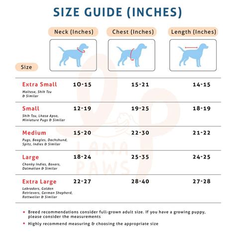 Buy Colourful Printed Dog Raincoats Online l Lana Paws