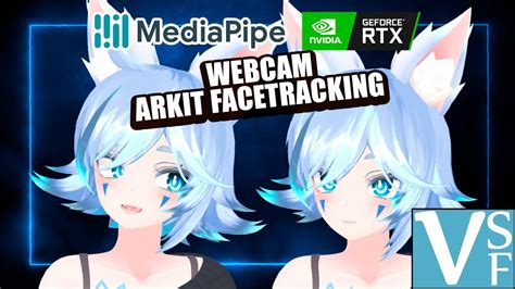 Image result for Vseeface Hand Tracking