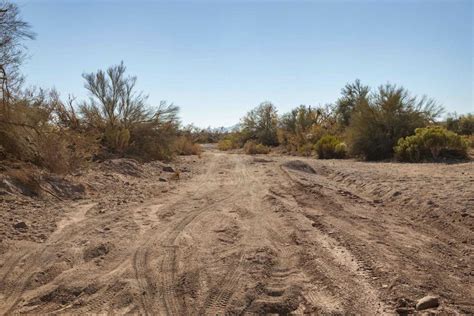 Loop Trail 的图像结果