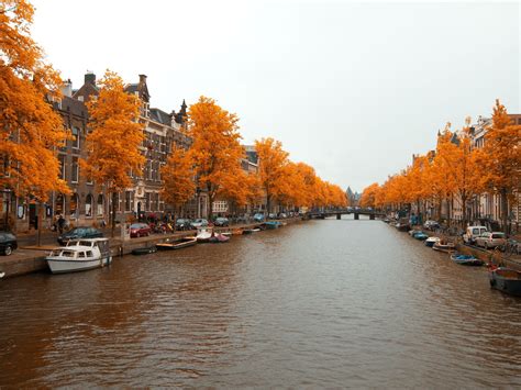 Quando andare ad Amsterdam, temperature, quando costa meno e tulipani