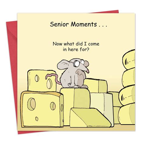 Buy Twizler Funny Card Senior Moments - Blank Card – Funny Card ...