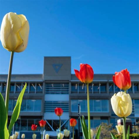 Image result for Map of Springfield College