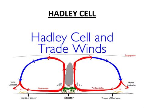 Image result for Convective Circulation Patterns
