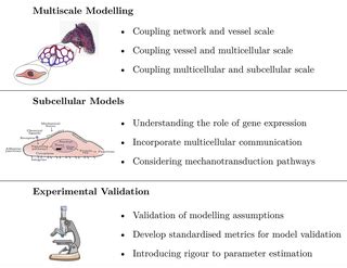 Image result for Multi Dynamic Vena Modeling