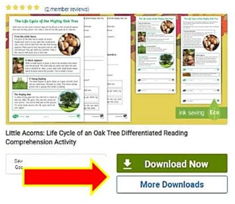 Personalise your resources using our alternative versions!
