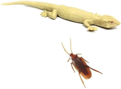 Buy ZERECORD 1 Fake Cockroach 1 And Fake Lizard 1 Practical Jokes And ...