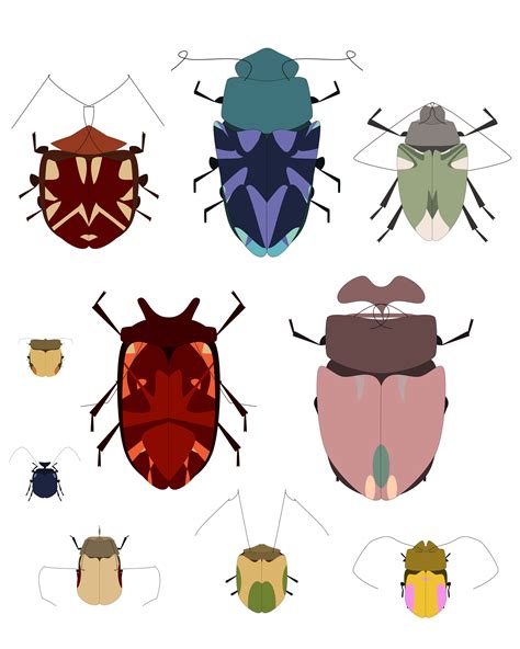 Image result for Bugs in Python