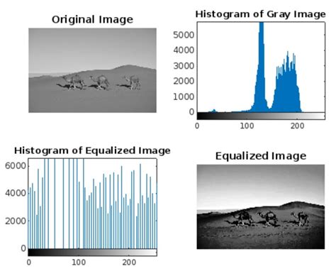 Histogram Equalization in Digital Image Processing 的图像结果