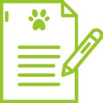 Best Top Chartered Accountants, CA in India, Company Incorporation In ...