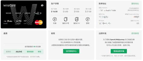 💳Wildcard:靠谱的虚拟信用卡付款OpenAI ChatGPT Plus账号教程💥⭐ 爱出海导航💖