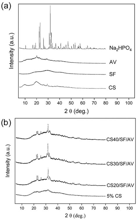 Bioactive Hydrogel Scaffolds Integrating Chitosan, Silk Fibroin, and ...