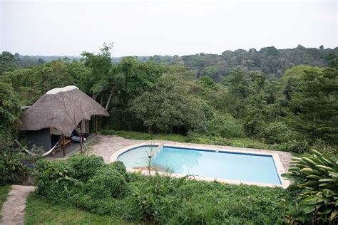 TURACO TREETOPS (Kibale National Park) - Lodge Reviews & Photos ...