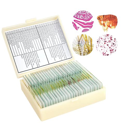 LAKWAR 25 Parasite Microscope Slides with Specimens for India | Ubuy