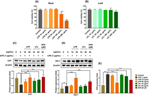 Phytochemical Composition and Antioxidant and Anti-Inflammatory ...