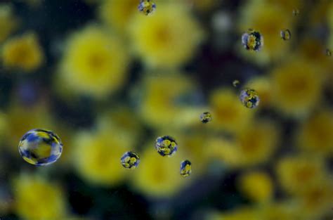 Image result for Raindrop Refraction