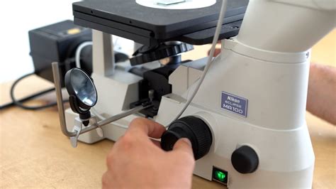 Laboratory, Microscope, Science. Free Stock Video - Pixabay